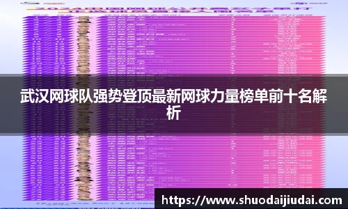 武汉网球队强势登顶最新网球力量榜单前十名解析
