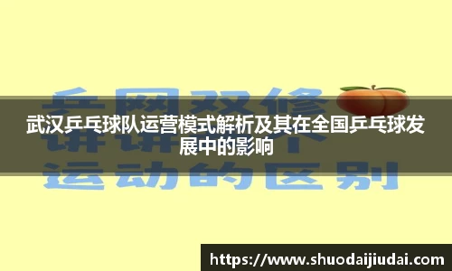 武汉乒乓球队运营模式解析及其在全国乒乓球发展中的影响