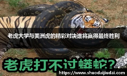 老虎大学与美洲虎的精彩对决谁将赢得最终胜利