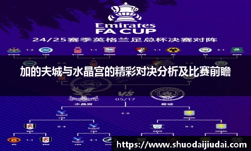加的夫城与水晶宫的精彩对决分析及比赛前瞻