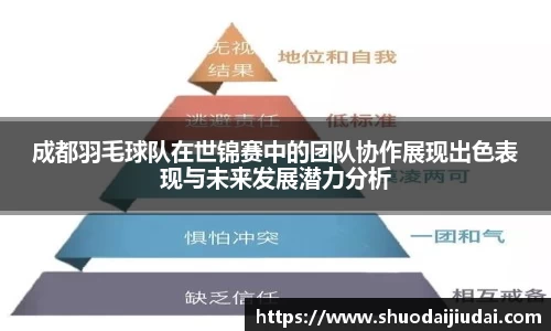 成都羽毛球队在世锦赛中的团队协作展现出色表现与未来发展潜力分析